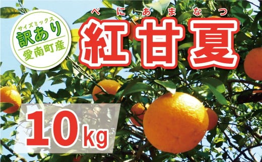
                  数量限定 先行予約 訳あり 紅甘夏 10kg 7000円  みかん mikan 蜜柑 ミカン わけあり べにあまなつ あまなつ 夏みかん グレープフルーツ だいだい 家庭用 産地直送 国産 農家直送 期間限定 数量限定 特産品 ゼリー マーマレード ピール ジュース 等に 人気 甘い おいしい フルーツ 果物 柑橘 規格外 愛媛県 愛南町 ヤマカ園
                