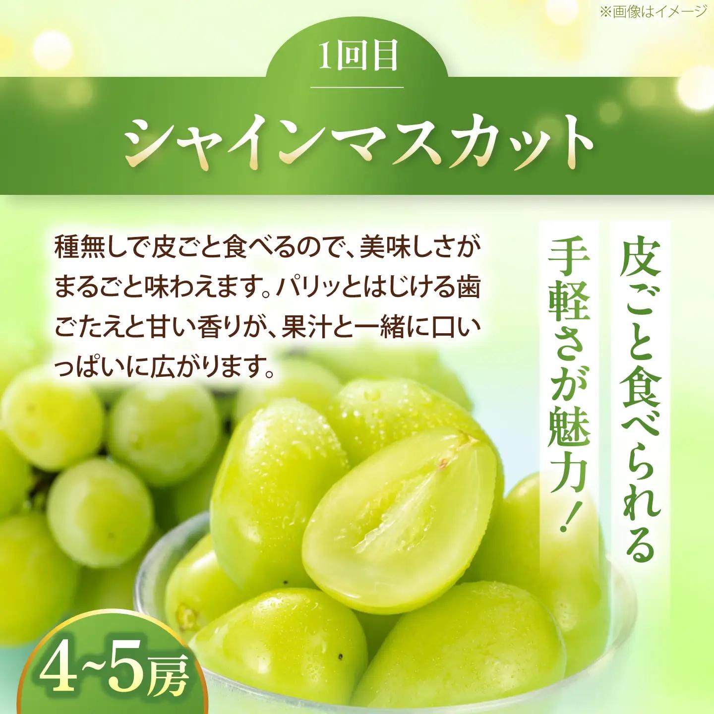 【3回定期便】ぶどう・柿・いちご 旬のフルーツ定期便【北海道・沖縄配送不可】 BKAY034