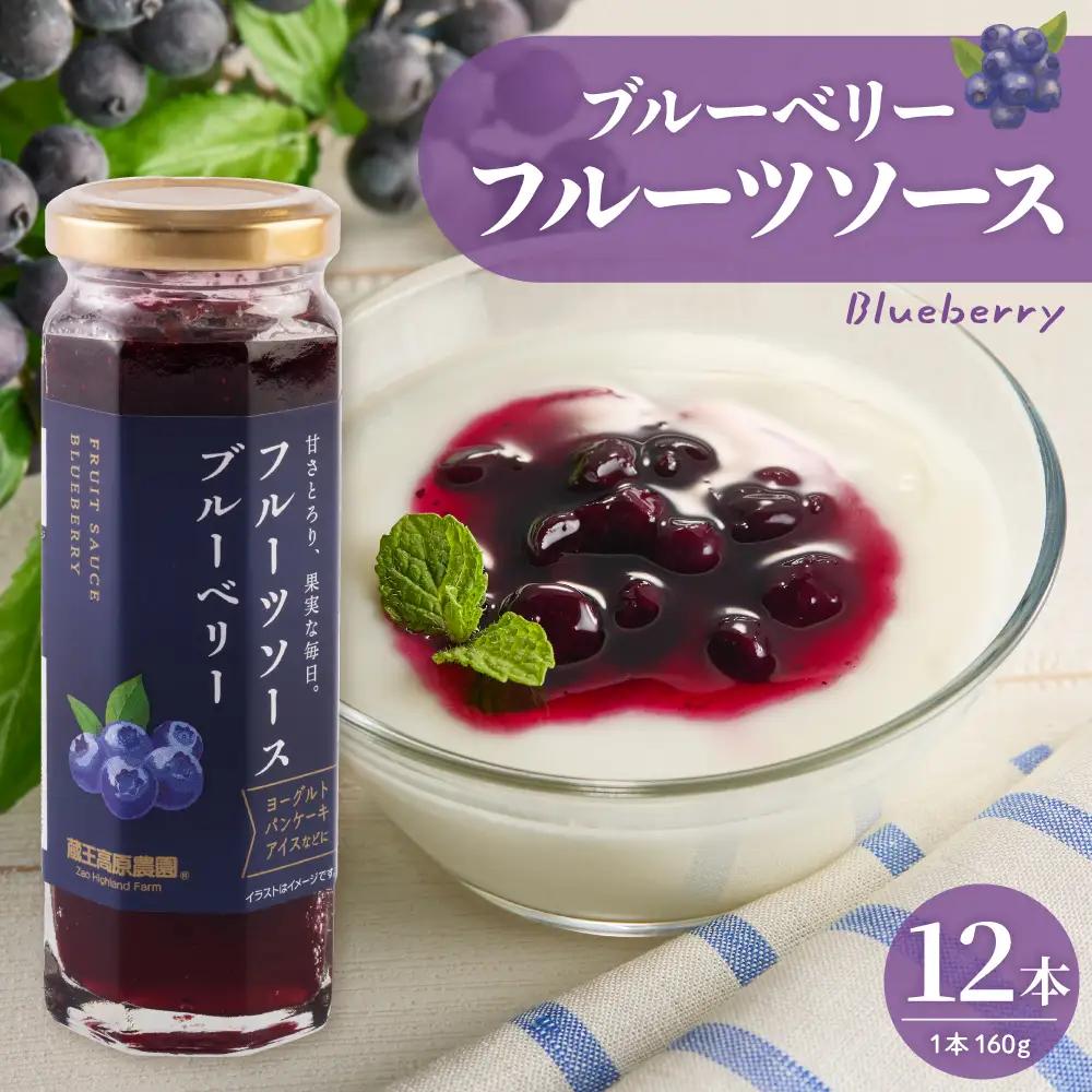 フルーツソース 160g ブルーベリー (12本) フルーツソース