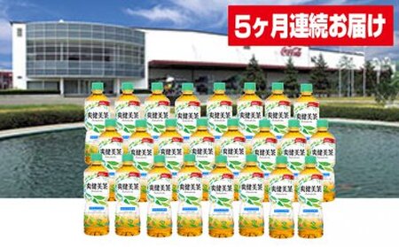 【5ヶ月連続お届け】蔵王工場直送 爽健美茶600ml×24本