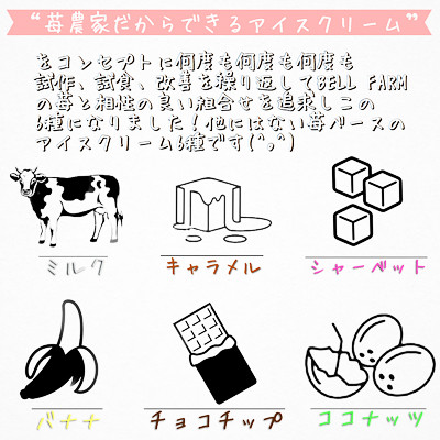 農家直送!苺農家 BellFarm のこだわりイチゴ アイスクリームセット　6個セット【配送不可地域：離島】