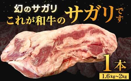 幻のサガリ これが和牛のサガリです【2025年10月上旬～下旬発送予定】黒毛和牛 和牛 サガリ 肉 お肉 高級 サシ 焼肉 BBQ 希少 新鮮 国産 九州産 冷蔵