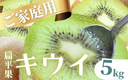 ＜11月より発送＞家庭用 キウイフルーツ5kg+250g（傷み補償分）【わけあり・訳あり・扁平果】/ フルーツ 果物 おすすめ きうい キウイフルーツ キウイ【ikd039D】 
