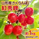 【ふるさと納税】山形産 さくらんぼ 紅秀峰 Lサイズ以上 約1kg 【令和7年産先行予約】FS23-709くだもの 果物 フルーツ 山形 山形県 山形市 お取り寄せ 2025年産