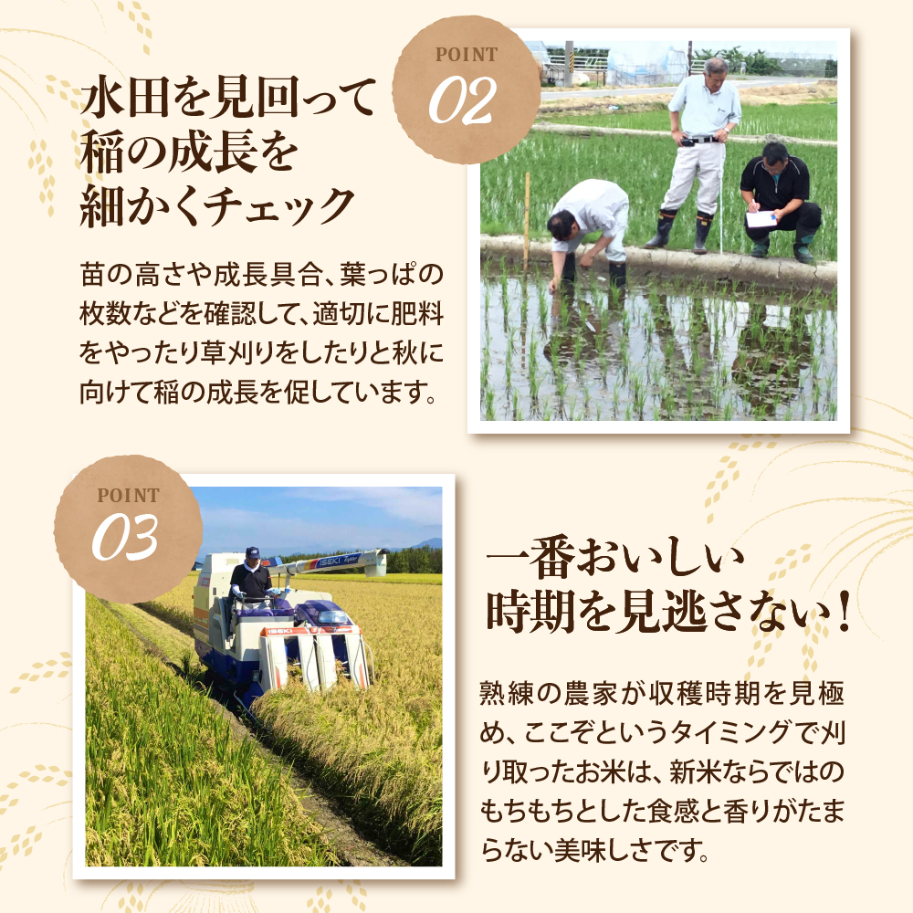 【令和8年産米】2027年4月中旬発送 雪若丸20kg（5kg×4袋） 山形県産 【米comeかほく協同組合】