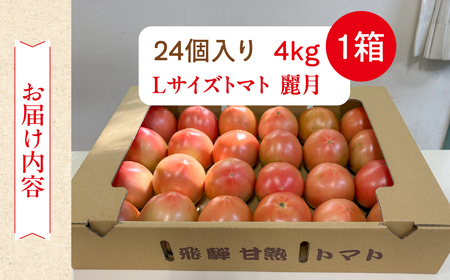 先行予約（2026年7月上旬頃から順次発送）甘塾トマト 麗月 Lサイズ 4kg【119-4】