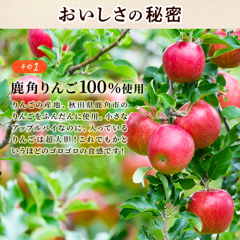 アップルパイ『極』18cmホール 鹿角りんご使用【レディースファーム】