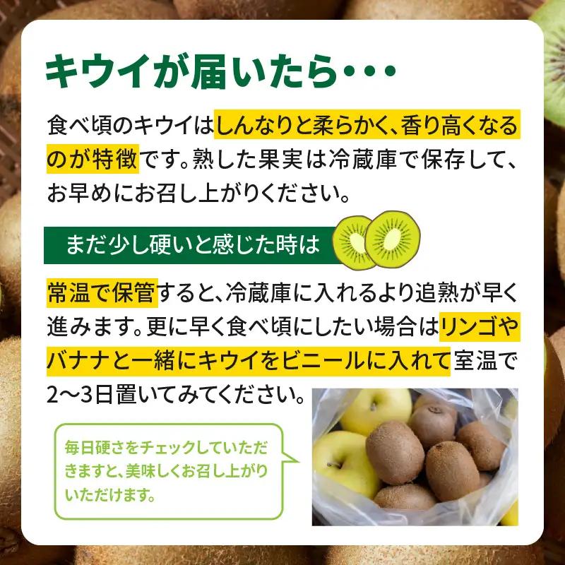 【先行受付：2026年11月頃発送開始】福岡限定品種キウイ「甘うぃ」約1.3～1.5kg <配送不可地域：北海道・沖縄・離島> 先行受付 キウイ キウイフルーツ フルーツ 果物 くだもの 甘い 高糖度