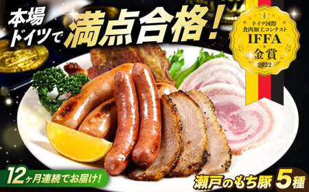 【全12回定期便】「瀬戸のもち豚」IFFA2022金賞受賞5点セット [BAER075]ソーセージ