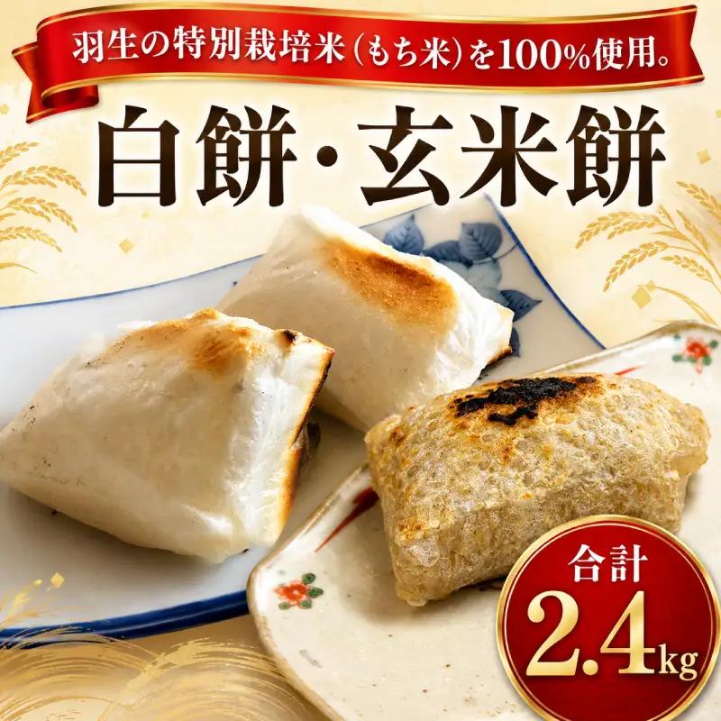 もち 切り餅 2.4kg 48枚入 1袋6枚入 4袋×2種類 計8袋 特別栽培米 100%使用 餅 玄米