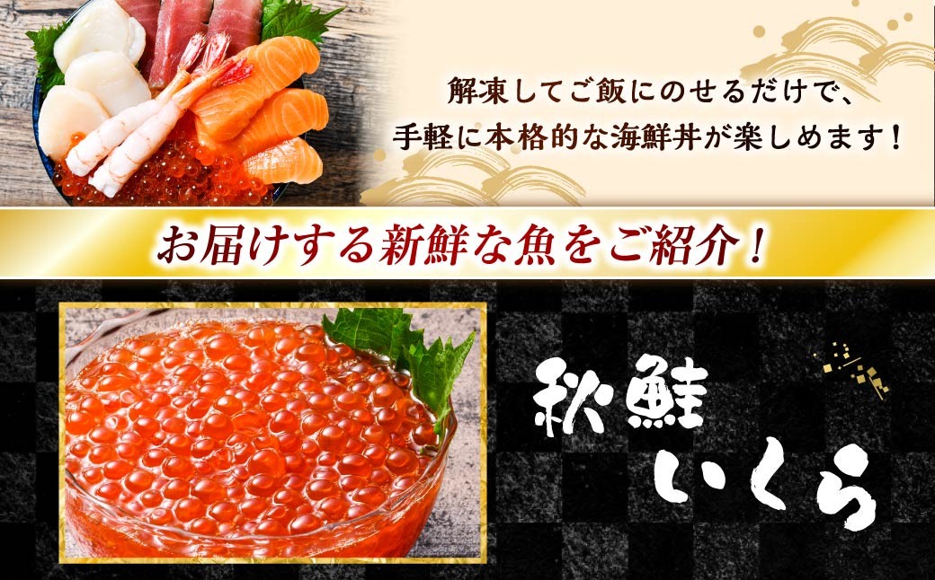 いくらたっぷり海鮮丼セット 4人用 イクラ いくら 海鮮丼 刺身 真空パック 小分け 北海道いくら 秋鮭 秋鮭イクラ 新鮮 海鮮 F4F-8627