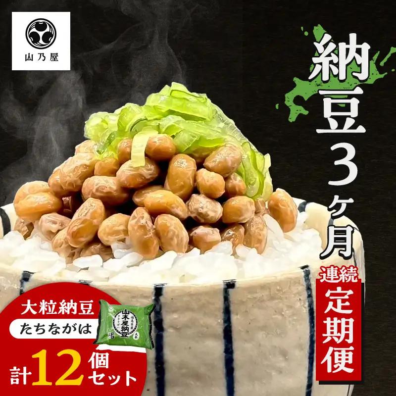 〈3か月定期便〉山乃屋の山木屋 大粒 納豆 たちながは 12個 納豆 大豆 健康 発酵食品 ギフト おすすめ 川俣町 福島県  FAF-0296