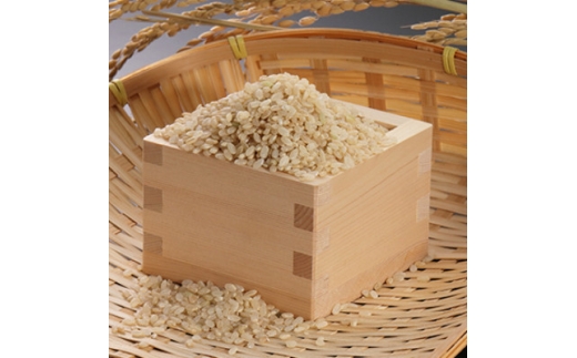 【毎月定期便】あきたこまち慣行栽培精玄米5kg全9回【4094210】