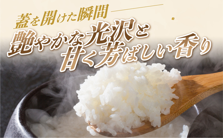【5kg：12月発送】《令和8年産 新米》こしひかり 5kg 米