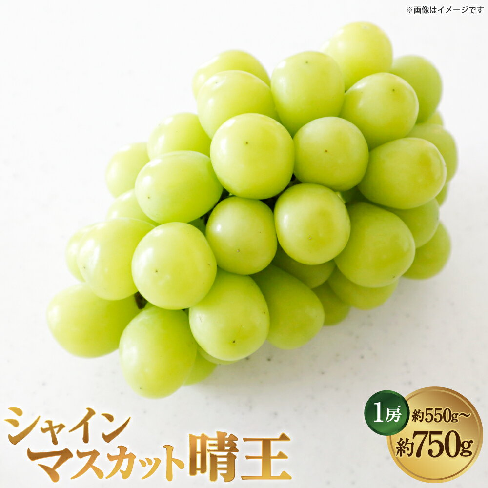 【ふるさと納税】[HS] シャインマスカット 晴王 1房 ＜選べる内容量＞ 約550g / 約600g / 約650g / 約700g / 約750g マスカット ぶどう ブドウ 葡萄 フルーツ くだもの 果物 果実 デザート 大粒 冷蔵 国産 岡山県産 倉敷市 送料無料 【2026年9月上旬～10月下旬発送】