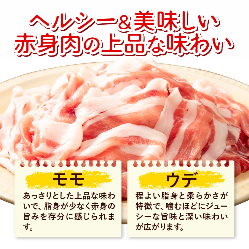【3ヶ月定期便】熊本県産 豚肉 モモスライス ウデ こま切れ セット 合計 約9kg 約3kg×3回 植田商事有限会社 《お申し込み月の翌月から出荷開始》 熊本県 菊池市 モモ ウデ 詰め合わせ 豚 