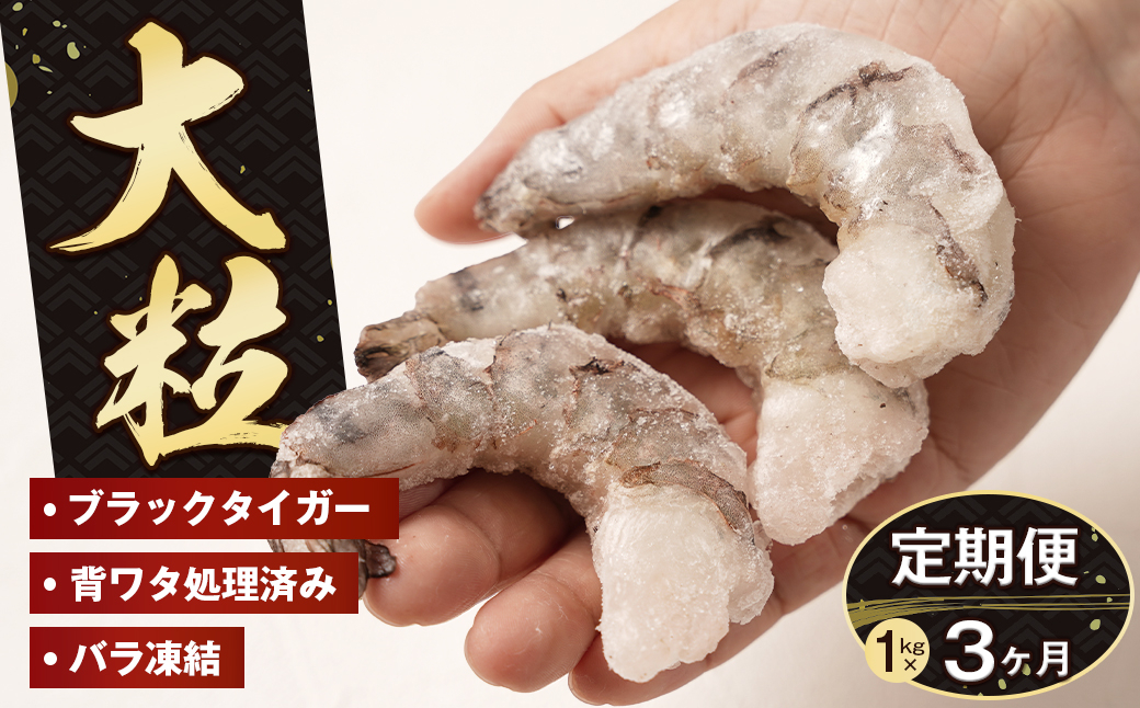 
【定期便3・6・12ヶ月】至福の大粒むきえび　背ワタ処理済 1kg　　[ムキエビ 大型 背わたなし むき海老 ブラックタイガー 下処理済み 冷凍 背ワタなし 高級]
