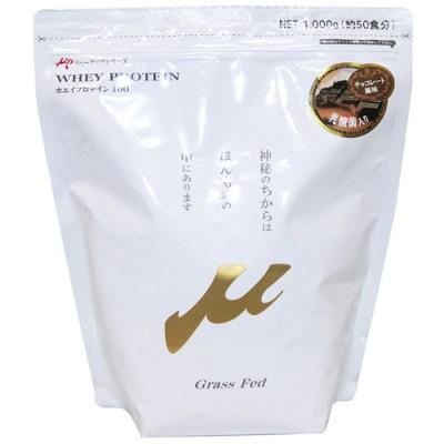 ふるさと納税 茨木市 プロテイン100　ワイルドフィット　チョコレート風味