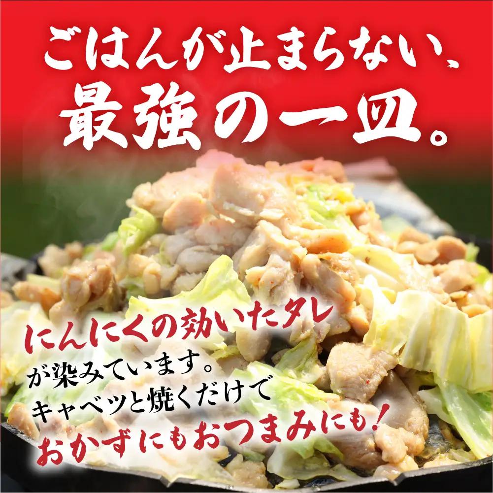 鶏ちゃん発祥の名店「まるはち食堂」こだわり抜かれた下呂の味！！けいちゃん 480g×5（約15人前）冷凍  味付き 焼くだけ【48-2】