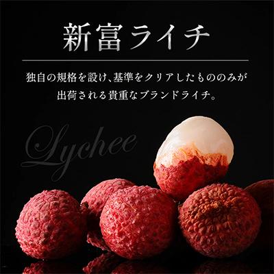 ふるさと納税 新富町 【マツコの知らない世界で紹介】先行受付 希少!国産「新富ライチpremium50」50g以上×8玉 |  | 01