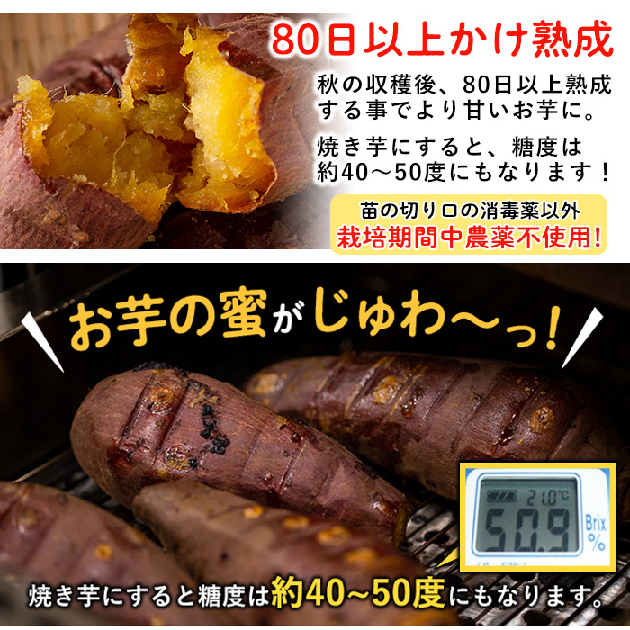 No.434 ＜先行予約受付中！＞鹿児島県産！特選紅はるか冷凍やきいも(500g×4袋・計2kg) 栽培期間中農薬不使用 数量限定 いも 芋 さつまいも 焼き芋 スイーツ ギフト 贈答【上原農園】