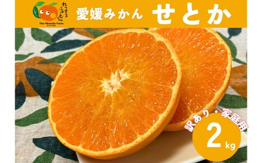 【2027年先行予約】みかん 愛媛県 せとか 2kg ご家庭用 訳あり レッスルファーム 【2027年1月下旬より順次発送】 数量限定 おすすめ 美味しい おいしい グルメ フルーツ くだもの 愛媛県産 人気 柑橘 伊予市｜A105