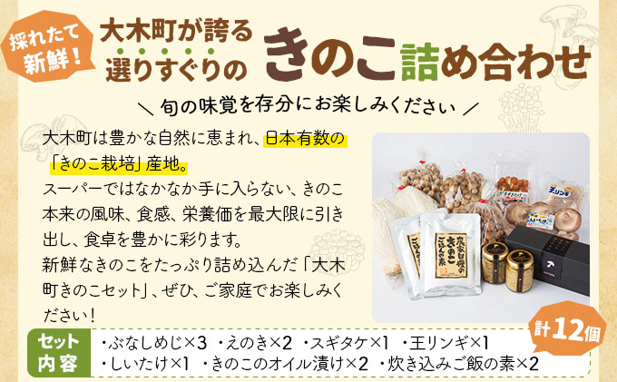 大木町きのこ食べつくしセット AZ03