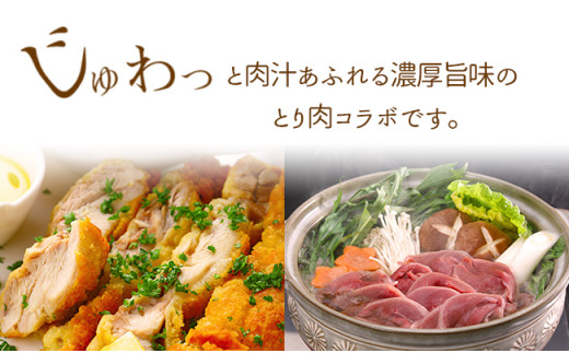 【大川村と芸西村の共通返礼品】はちきん地鶏 もも肉 1kg＆土佐鴨 鴨鍋肉（2～3人前）セット 地鶏 モモ肉 鶏肉 鴨 鴨肉 かも肉 とり肉 とりにく 肉 高知県 大川村 F6R-012