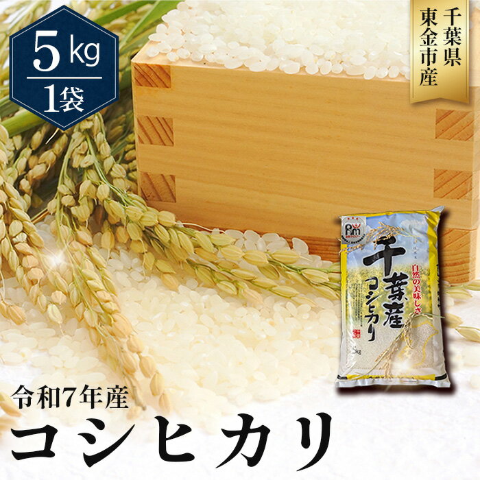 【ふるさと納税】No.342 令和7年産 コシヒカリ5kg（千葉県東金市産） ／ 米 お米 こしひかり ご飯 香り 粘り 甘味 お弁当 食事 東金市 送料無料 千葉県