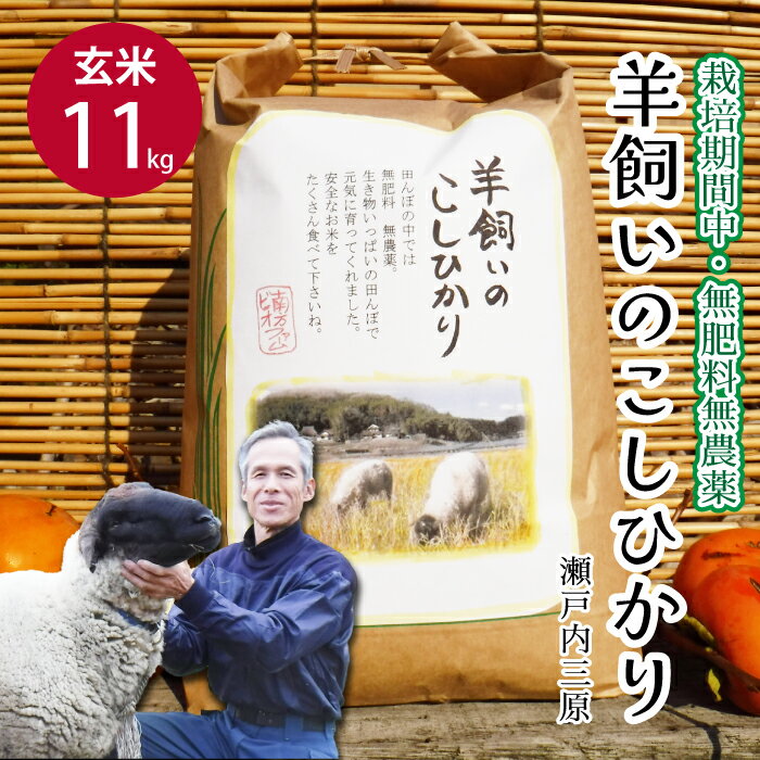 【ふるさと納税】【栽培期間中・無肥料無農薬】瀬戸内三原 羊飼いのこしひかり 玄米11kg 瀬戸内ビオファーム お米 こめ ご飯 002011