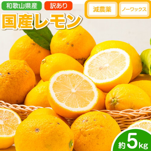 【ふるさと納税】国産レモン 訳あり レモン 5kg (サイズ混合) ノーワックス 減農薬 どの坂果樹園《2026年2月上旬-5月末頃出荷》 和歌山県 日高町 レモン れもん 檸檬 家庭用 旬 新鮮 果物 柑橘 フルーツ 訳あり 大容量 Lemon lemon 送料無料