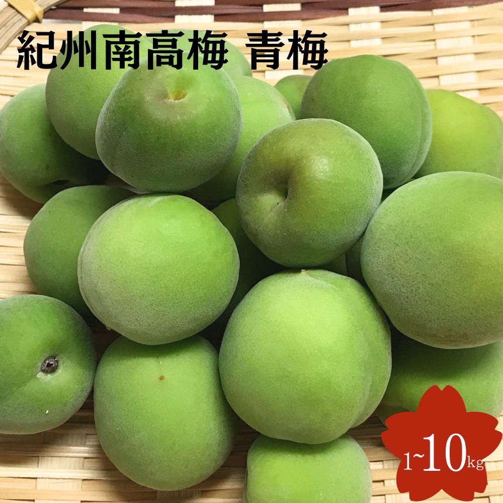 【ふるさと納税】 【2025年分先行予約】紀州南高梅　青梅　2kg～10kg【サイズ混合】 / 2kg 4.5kg 10kg 2キロ 4.5キロ 10キロ 10000円 1万円 20000円 2万円 40000円 2万円 果物 果実 くだもの 梅 梅干し うめぼし 梅酒 梅ジュース 梅シロップ 手作り 自家製 新鮮 収穫日発送