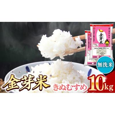 ふるさと納税 安来市 BG無洗米・金芽米きぬむすめ 10kg