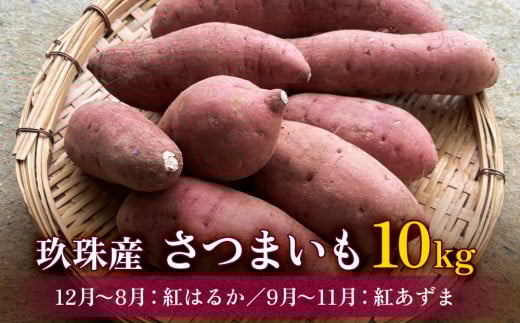 大分県産 玖珠産　さつまいも10kg　紅はるか （12月～8月） 紅あずま （9月～11月）　