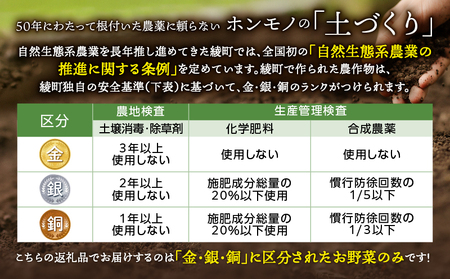【全４回定期便】春夏秋冬 季節のお野菜セット（サイズ大） 【宮崎県 12種 定期便 詰め合わせ 新鮮 産地直送 おまかせ 季節の野菜 ボックス 農家直送 有機栽培 送料無料 オーガニックのまち 宮崎県
