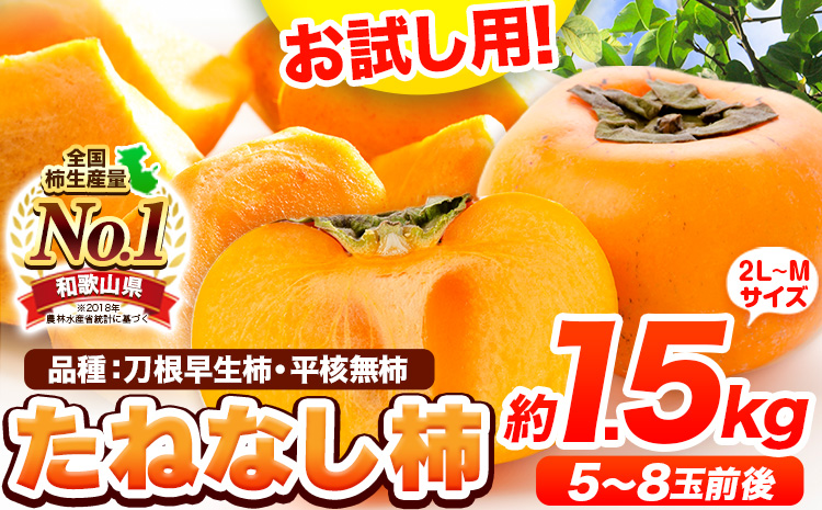 【先行予約】お試し用！たねなし柿（刀根早生柿・平核無柿）約1.5kg（5～8玉前後）《2025年9月中旬-11月上旬頃出荷》---wfn_wlocal76_9c11j_25_6000_15---