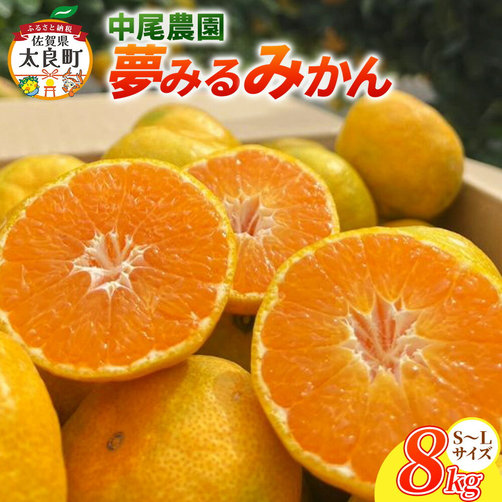【ふるさと納税】O-167 中尾農園の夢みるみかん（S-L）8kg　果物　くだもの　ビタミン