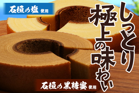 石垣島 やし屋手作り 石垣の塩バウムクーヘン×1箱 ＆ 黒糖バウムクーヘン×1箱＆手作り黒糖菓子　詰め合わせセット　YA-4