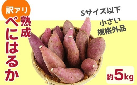 《先行予約》【訳アリ】小さい訳あり 臼杵市野津町産 さつまいも べにはるか 5kg