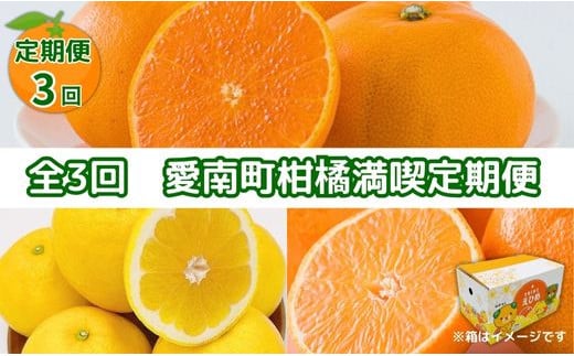 
            先行予約 全3回 愛南町柑橘満喫 定期便 あいか せとか 河内晩柑 数量限定 期間限定 限定 愛果28号 まどんな 愛南ゴールド 柑橘 かんきつ みかん 蜜柑 果物 くだもの フルーツ 定期便 季節 冬 春 夏 旬 サイズミックス 愛媛県 愛南町 フジ・アグリフーズ
          
