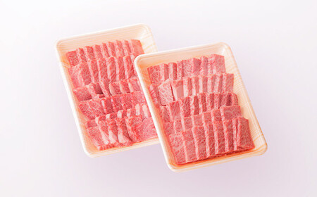 佐賀牛肩ロース焼肉用600ｇ（300ｇ×2パック）FF0017