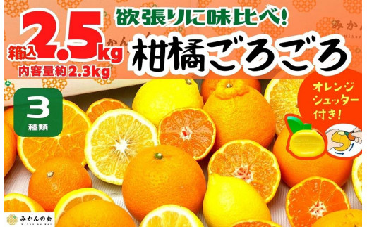 
柑橘ごろごろ 3種 箱込 2.5kg(内容量約 2.3kg) 秀品 優品 混合 和歌山県産 産地直送 【おまけ付き】【みかんの会】
