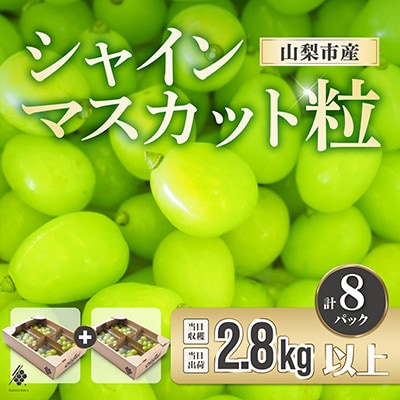 【先行受付2026年発送】 シャインマスカット 粒 約2.8kg 【訳あり】ぶどう 粒カット【配送不可地域：離島・沖縄県】【1687784】