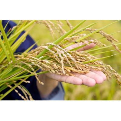 ふるさと納税 塩谷町 【令和7年度】「奇跡のお米 神宝米」白米 真空パック1kg×2パック |  | 03