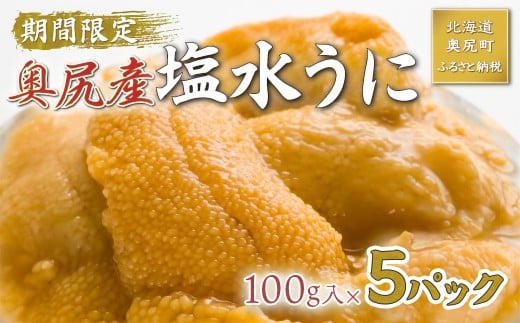 【2026年7月上旬頃より順次発送】北海道奥尻産「キタムラサキウニ」100g×5パック (塩水パック)【期日指定不可】【 ふるさと納税 人気 おすすめ ランキング うに ウニ 雲丹 海栗 塩水ウニ 塩水うに キタムラサキウニ ミョウバン不使用 北海道 奥尻町 送料無料 】 OKUH013