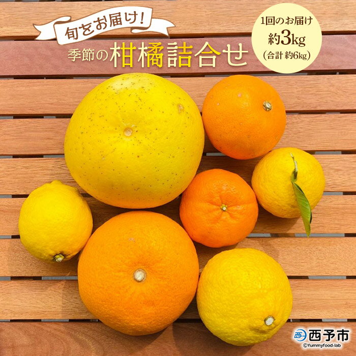 【ふるさと納税】＜旬をお届け！季節の柑橘詰合せ 2回定期便（約3kg×2回 合計約6kg）＞みかん ミカン 詰め合わせ 蜜柑 果物 フルーツ 食べ比べ 特産品 二ノ宮商事 愛媛県 西予市【常温】『1回目：2026年1月下旬～2月上旬／2回目：2026年2月下旬～3月上旬迄に順次出荷予定』