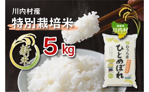 【ふるさと納税】令和7年度 かわうち産 特別栽培米 ひとめぼれ 5kg