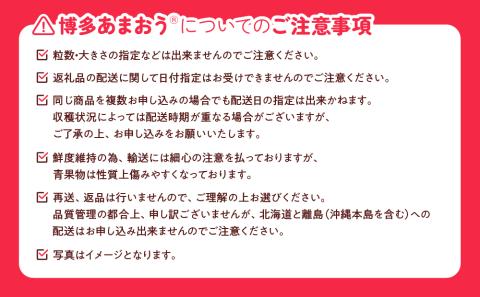 AB381.【予約受付】「あまおうバター」と「あまおう」のセット／2025年1月～4月発送予定