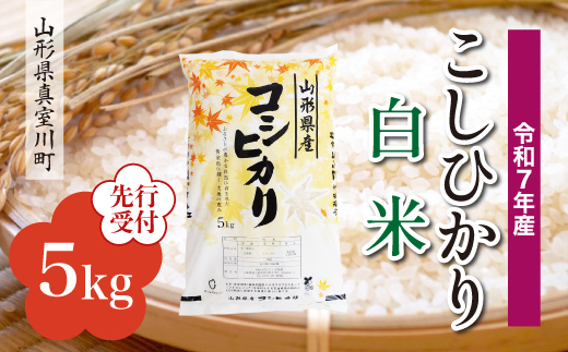 ＜令和7年産米先行受付＞ 真室川町産 こしひかり 【白米】 5kg （5kg×1袋）＜配送時期指定可＞