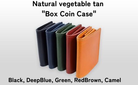 Box Coin Case Camel